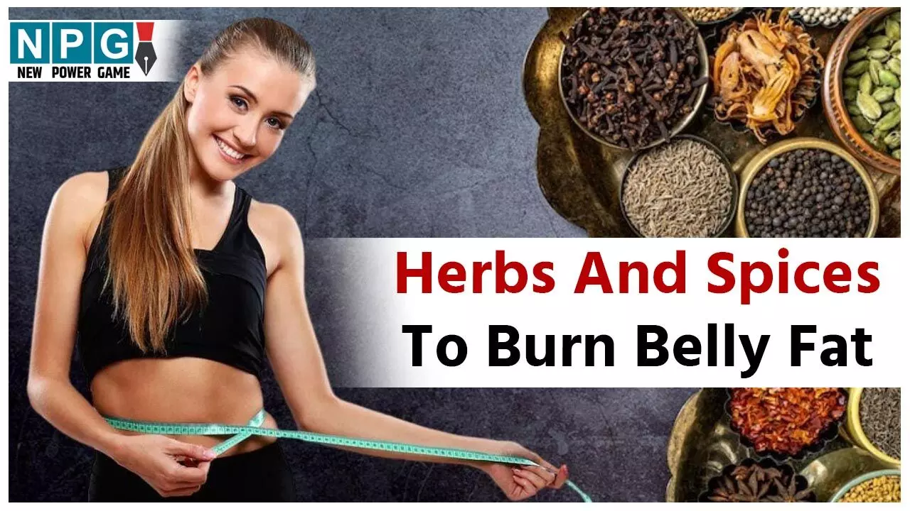 Herbs And Spices To Burn Belly Fat: थुलथुले पेट ने कर रखा है शर्मिंदा? ये हर्ब्स और मसाले पेट को कम करने में करेंगे मदद