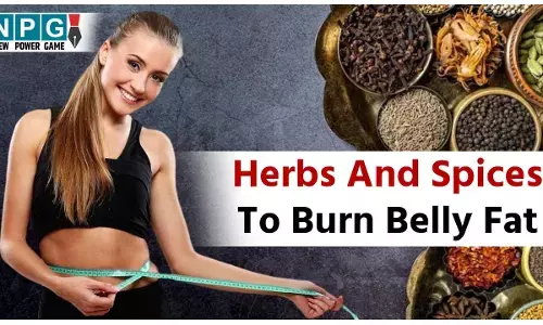 Herbs And Spices To Burn Belly Fat: थुलथुले पेट ने कर रखा है शर्मिंदा? ये हर्ब्स और मसाले पेट को कम करने में करेंगे मदद