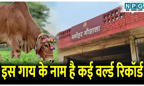 Manohar Gaushala Khairagarh: छत्तीसगढ़ की कामधेनु गाय, इनके नाम है कई वर्ल्ड रिकॉर्ड, जानिए इस गौशाला के बारे में