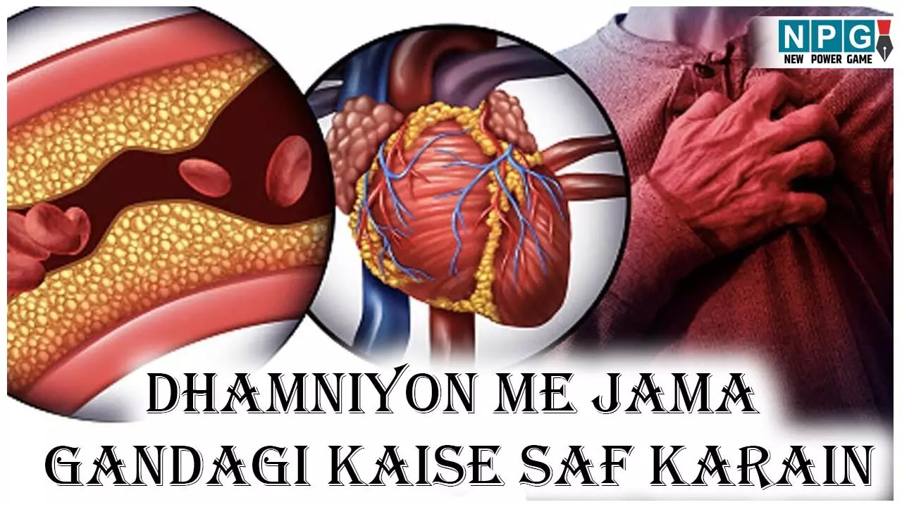 Dhamniyon Me Jama Gandagi Kaise Saf Karain: धमनियों में जमा प्लाक हो सकता है जानलेवा, जाने हार्ट अटैक और स्ट्रोक से बचने नेचुरल चीज़ों से अपनी आर्टरीज़ कैसे साफ करें...