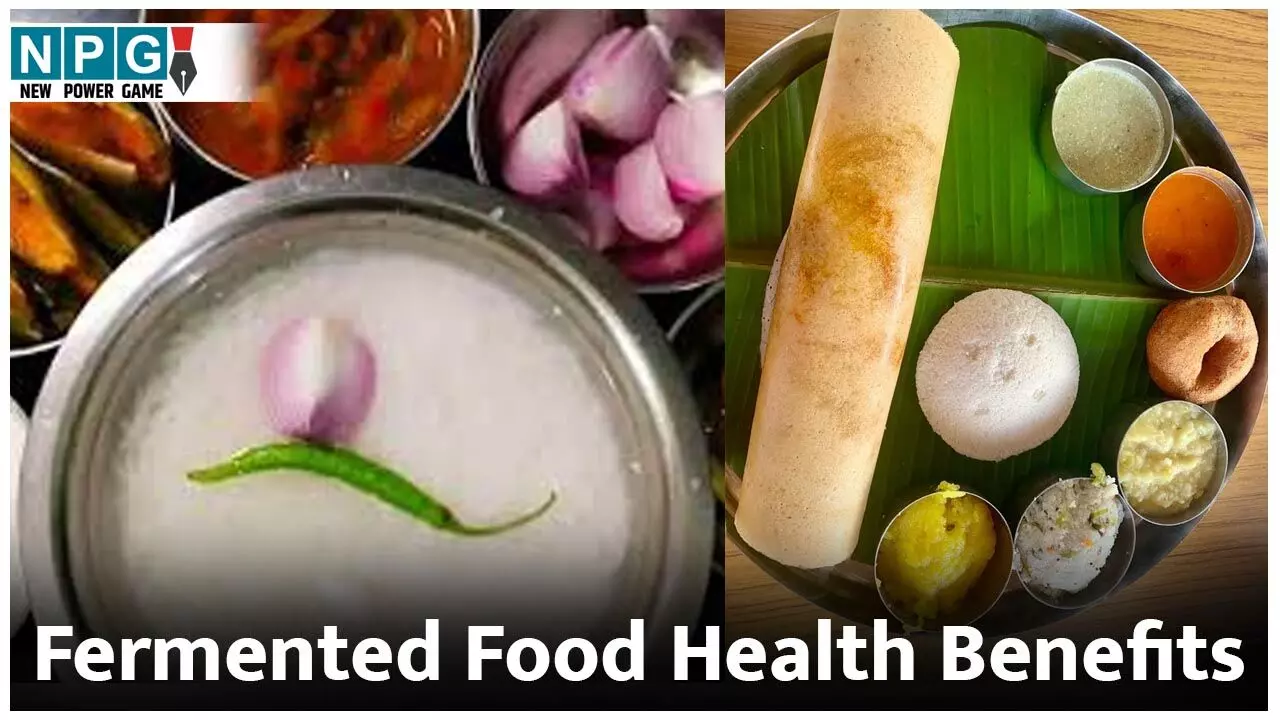 Fermented Food Health Benefits: फर्मेंटेड फूड आंतों के लिए अमृत समान, गट-ब्रेन कनेक्शन सुधारें,B12 भी बढ़ाएं, जाने फर्मेंटेड फूड के सेवन के फायदे...