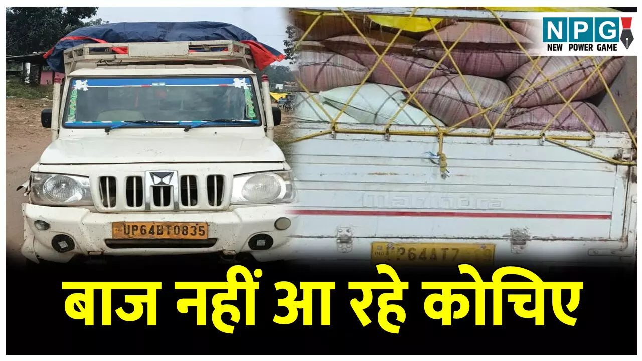 CG Balrampur News:15 दिनों में धान खरीदी,अभी से अफरातफरी शुरू! लाख कोशिशों के बाद भी बाज नहीं आ रहे कोचिए