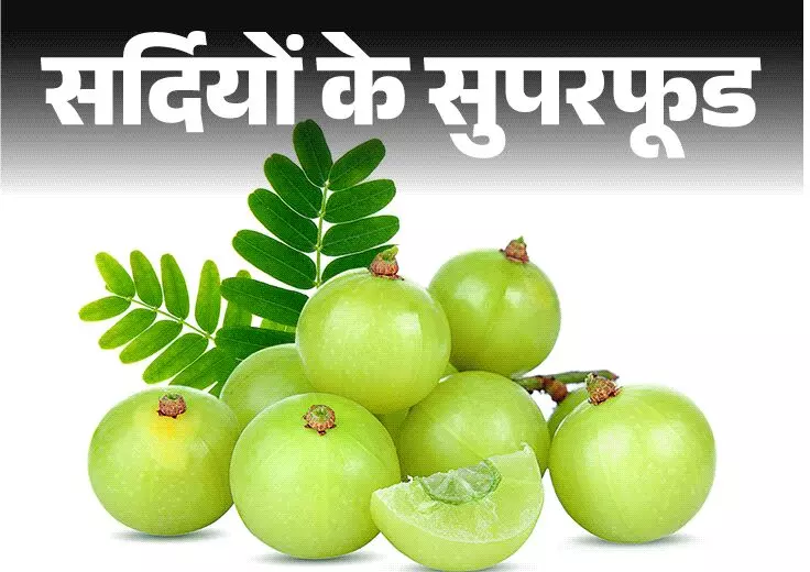 Amla Navami 2025 : सर्दी शुरू और मिलने लगा ये फल !  सेहत का खजाना है  इसका जूस