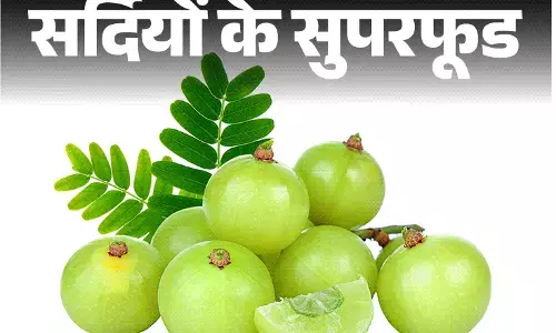 Amla Navami 2025 : सर्दी शुरू और मिलने लगा ये फल !  सेहत का खजाना है  इसका जूस