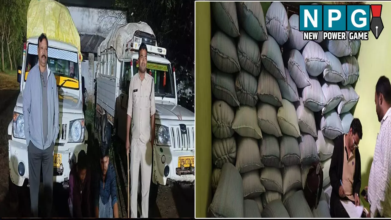 CG News: रात के अंधेरे में यूपी का अवैध धान पहुंचा छत्तीसगढ़, सिस्टम पर भारी पड़ रहे को कोचिये