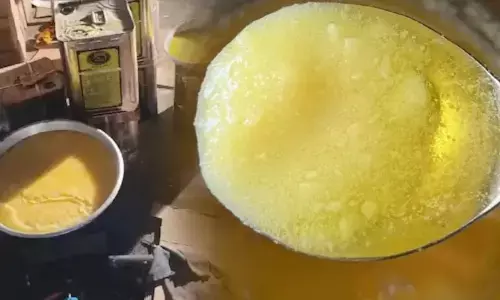 क्या आप भी खा रहे मिलावटी घी? MP में यहां फ़ूड विभाग ने मारा छापा; 3400 किलो नकली माल बरामद..मिलाई जा रही थी चर्बी