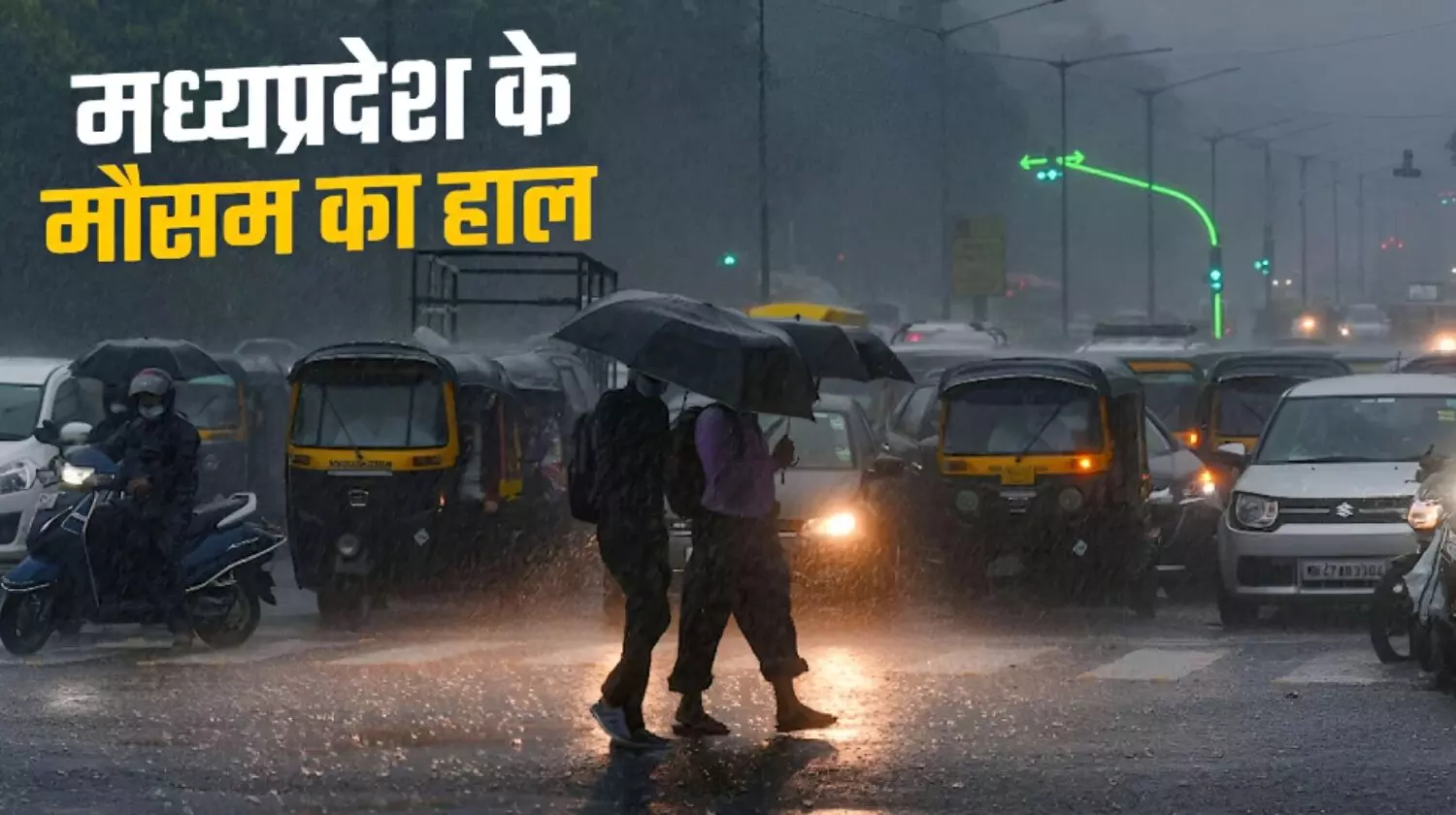 MP में मोथा का असर: प्रदेश के 11 जिलों में गरज-चमक के साथ भारी बारिश की संभावना; जानें अपने शहर के मौसम का हाल