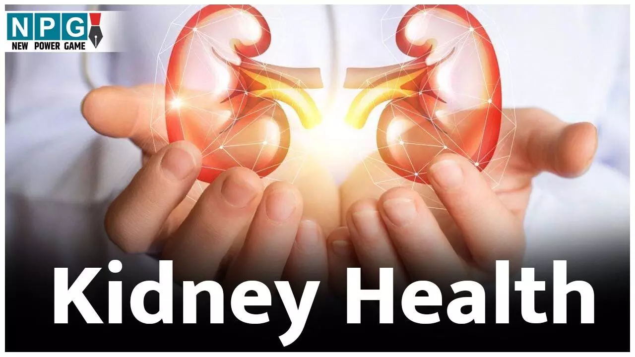 Kidney Health: 60 की उम्र के बाद संभल के खाएं ये ड्राई फ्रूट्स और नट्स, वरना किडनी को होगा नुकसान...