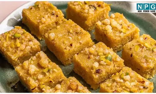 Winter Special Gond Pak Recipe: सर्दियों में बनाकर खाइये बीकानेर स्टाइल गोंद पाक, बेहद फायदेमंद और टेस्टी मिठाई