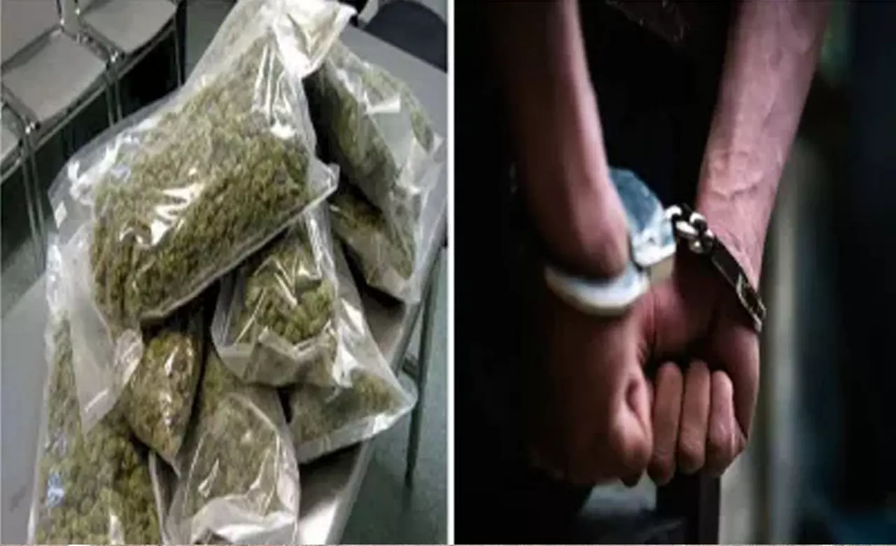 Raipur News: साड़ी बेचने वाले निकले गांजा तस्कर... महाराष्ट्र, ओडिशा से आकर रायपुर में लिऐ थे किराये का मकान