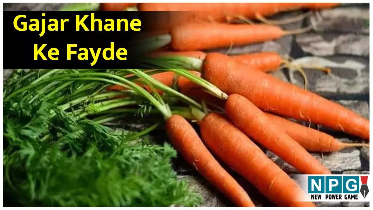 Gajar Khane Ke Fayde: बुढ़ापे में भी दौड़ेंगें फर्राटे से,हार्ट भी रहेगा फिट अगर रोज़ खाएंगे गाजर, जानिये गाजर खाने के कमाल के फायदे...