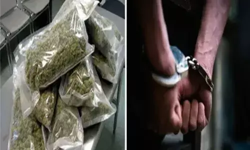 Raipur News: साड़ी बेचने वाले निकले गांजा तस्कर... महाराष्ट्र, ओडिशा से आकर रायपुर में लिऐ थे किराये का मकान