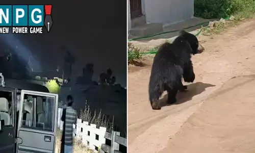 CG News: रिहायशी इलाके में पहुंच रहे जंगली जानवर: कहीं घुसा भालू, तो कहीं दिखा 10 हाथियों का झुंड, जमकर मचाया आतंक, देखें VIDEO