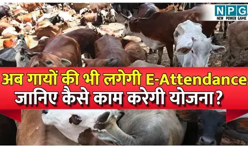 NPG Explainer: : अब गायों की भी लगेगी E-Attendance| जानिए कैसे काम करेगी सरकार की माइक्रो-चिप योजना?