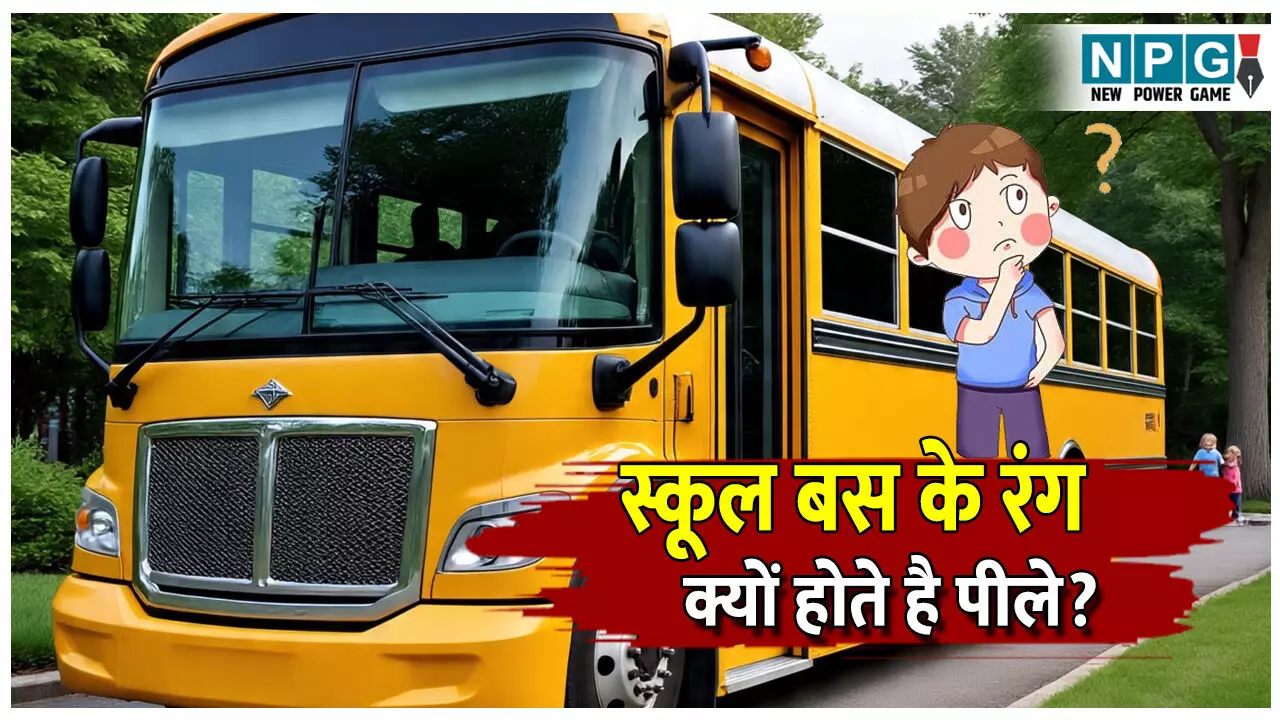 School Bus Hamesha Pile Kyo Hote Hai: सभी देशों में स्कूल बस के रंग पीले ही क्यों होते है? इसके पीछे छिपी है गजब की साइंस...