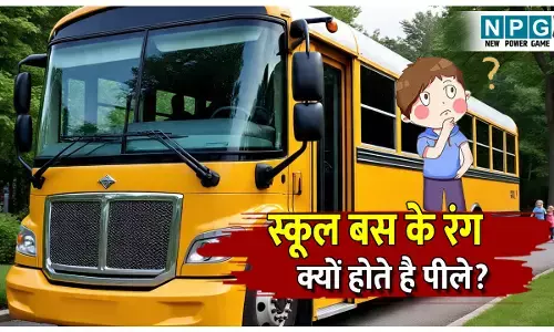 School Bus Hamesha Pile Kyo Hote Hai: सभी देशों में स्कूल बस के रंग पीले ही क्यों होते है? इसके पीछे छिपी है गजब की साइंस...