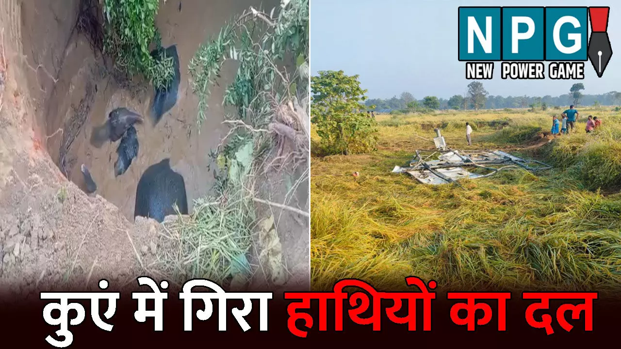 Baloda Bazar News: कुएं में गिरा 4 हाथियों का दल: रेस्क्यू अभियान में जुटी वन विभाग, ग्रामीणों की उमड़ी भीड़