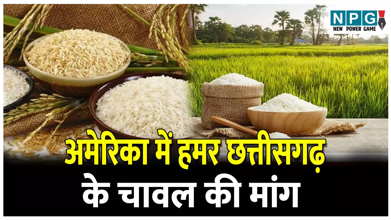 CG News: हमर छत्तीसगढ़ के चावल की मांग अमेरिका में, कोस्टा रिका में महकेगा छत्तीसगढ़ का चावल