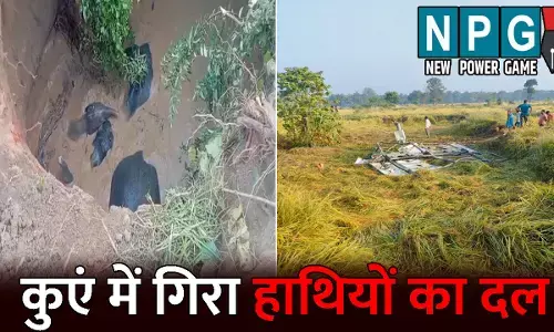 Baloda Bazar News: कुएं में गिरा 4 हाथियों का दल: रेस्क्यू अभियान में जुटी वन विभाग, ग्रामीणों की उमड़ी भीड़