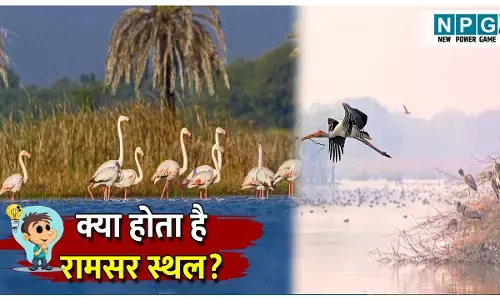 Ramsar Sthal kya hota hai: इन आर्द्रभूमियों में होता है अनोखे और विभिन्न जीवों का संरक्षण, जानिए रामसर स्थल के बारे पूरी जानकारी