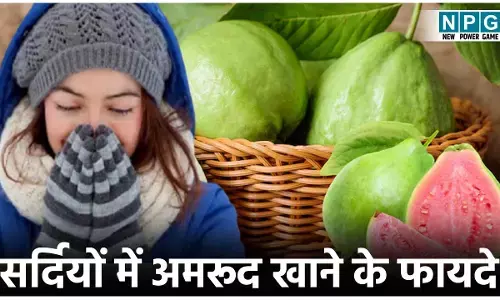 Guava Benefits In Winter: सर्दियों में एक अमरूद रोज खाने पर  मिलेंगे ये कमाल के फायदे...