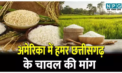 CG News: हमर छत्तीसगढ़ के चावल की मांग अमेरिका में, कोस्टा रिका में महकेगा छत्तीसगढ़ का चावल