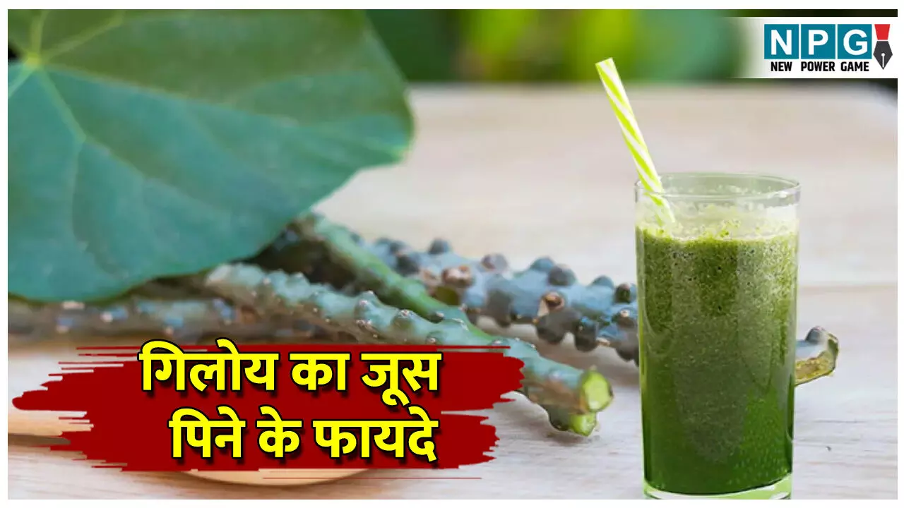 Giloy ke juice pine ke fayde: गिलोय के जूस पीने के 6 फायदे, महिलाओं के लिए है रामबाण औषधि, जानिए सेवन का तरीका