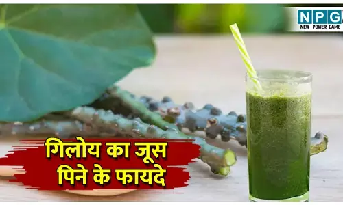 Giloy ke juice pine ke fayde: गिलोय के जूस पीने के 6 फायदे, महिलाओं के लिए है रामबाण औषधि, जानिए सेवन का तरीका