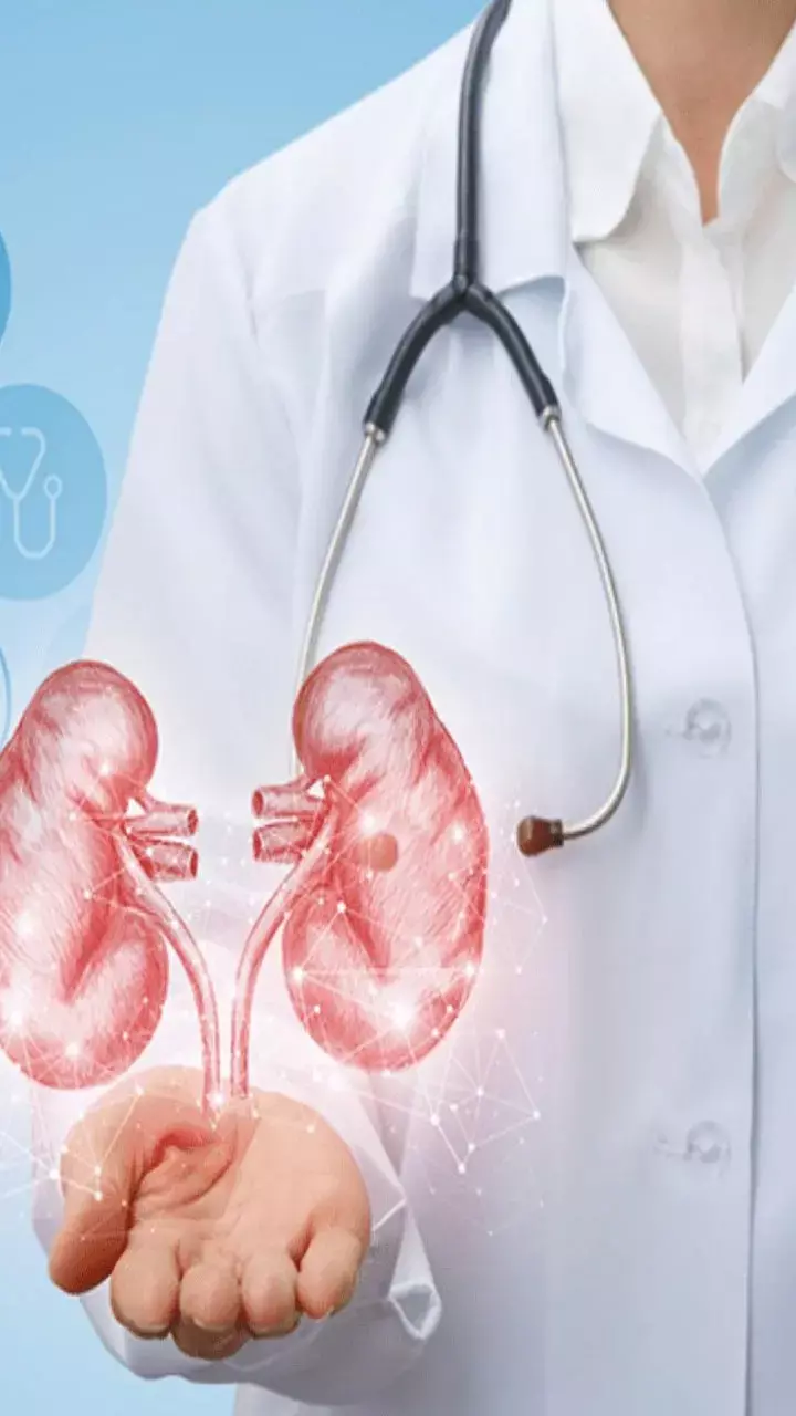 kidney Ki Safai Ke Liye Kya Khaye: किडनी की सफाई के लिए क्या खाना चाहिए?