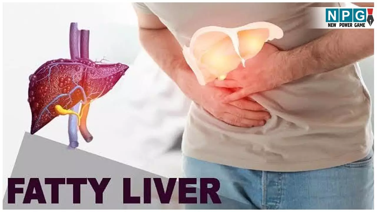 How To Reverse Fatty Liver Naturally: फैटी लिवर को रिवर्स करने में मदद करेगी लाकाडोंग हल्दी, जानिए कैसे करें सेवन