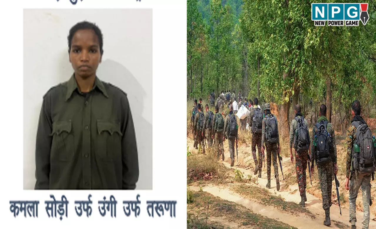 CG Naxal  Surrender News: पुलिस को बड़ी सफलता, 17 लाख की हार्डकोर महिला नक्सली ने किया सरेंडर, पुलिस हमले में संलिप्त...