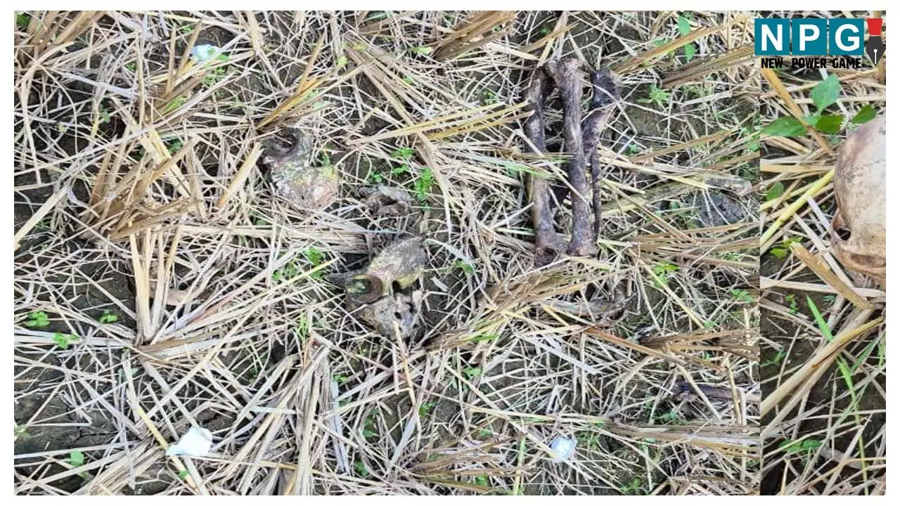 Surajpur Crime News: खेत में कटाई के दौरान मिला नर कंकाल, चार महीने से था लापता, आखिर कैसे हुई मौत? जांच में जुटी पुलिस