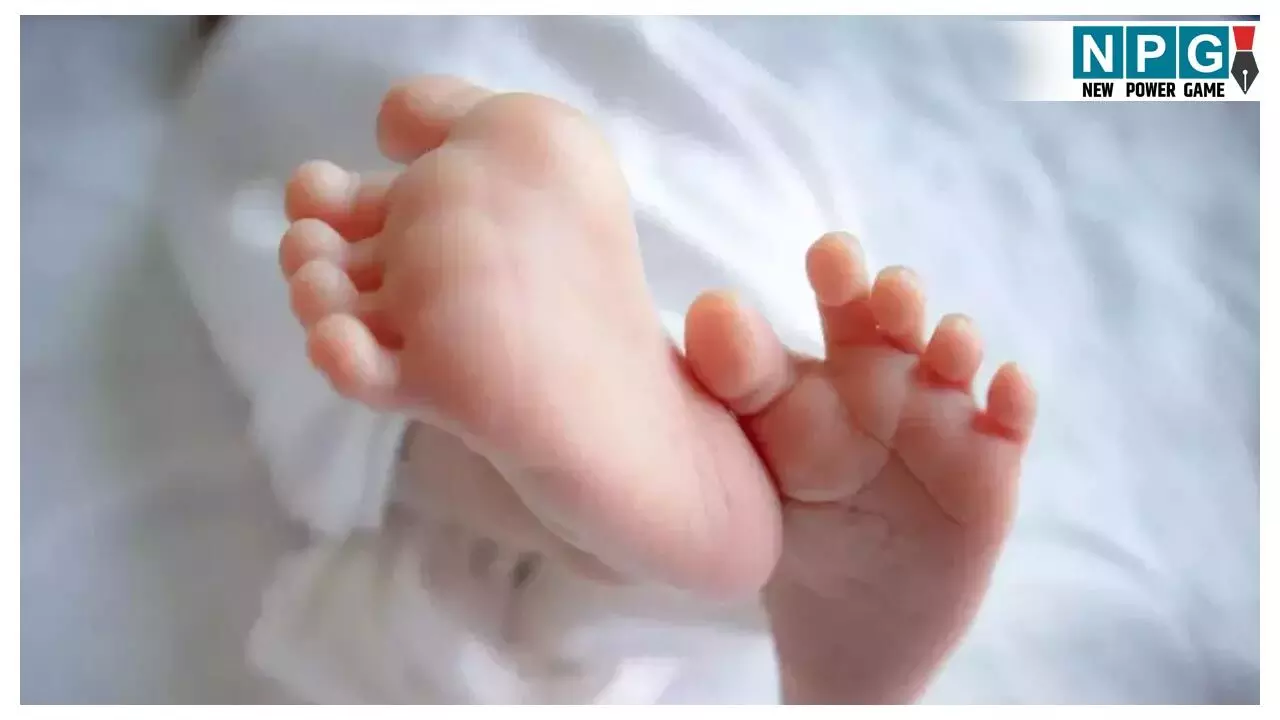 Raipur Mekahara Hospital News