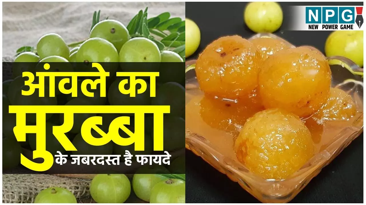 Easy Amla Murabba Recipe And Its Benefits: जानिये आंवले का मुरब्बा बनाने की बहुत आसान रेसिपी और इसके जबरदस्त फायदे...
