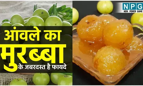 Easy Amla Murabba Recipe And Its Benefits: जानिये आंवले का मुरब्बा बनाने की बहुत आसान रेसिपी और इसके जबरदस्त फायदे...