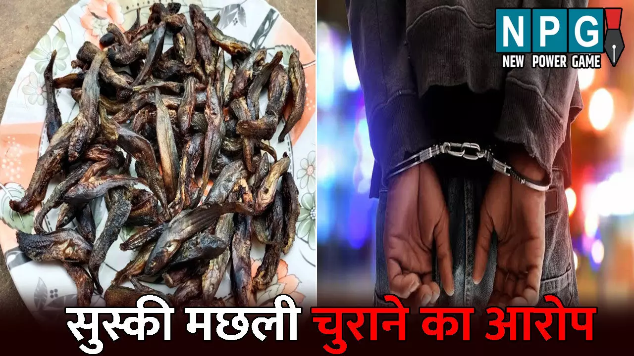 Korba News: बेटा दोस्त के साथ चुरा लेता था सुस्की मछली: फिर करते थे शराब पार्टी, मां की शिकायत के बाद दोनों गिरफ्तार