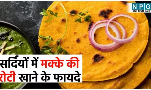 Sardiyon Me Makki Ki Roti Khane Ke Fayde: सर्दियों में शरीर को ठंडक के असर से बचाएगी मक्के की रोटी, इम्यूनिटी बढ़ाएगी, कोलेस्ट्रॉल घटाएगी, दोपहर में खाना सबसे बढ़िया...