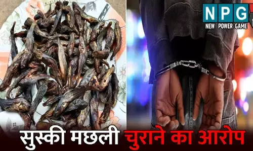 Korba News: बेटा दोस्त के साथ चुरा लेता था सुस्की मछली: फिर करते थे शराब पार्टी, मां की शिकायत के बाद दोनों गिरफ्तार