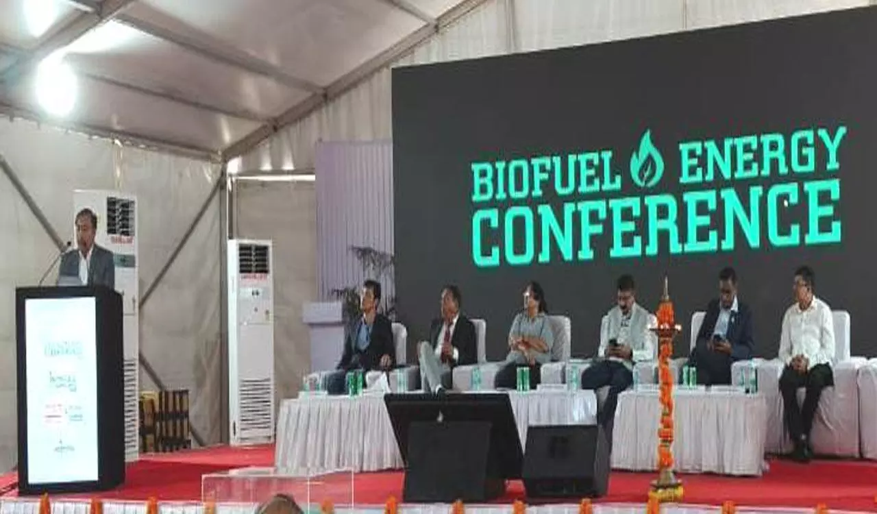 CG News: छत्तीसगढ़ में जैव ईंधन के उत्पादन में 3,500 करोड़ रुपये का हो रहा निवेश, सीबीडीए द्वारा बायोफ्यूल एक्सपो तथा सेमीनार का आयोजन CG News: छत्तीसगढ़ में जैव ईंधन के उत्पादन में 3,500 करोड़ रुपये का हो रहा निवेश, सीबीडीए द्वारा बायोफ्यूल एक्सपो तथा सेमीनार का आयोजन