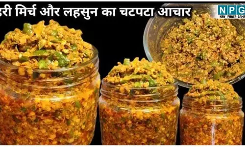 Lahsun-Hari Mirch Ka Achar Recipe: लहसुन और हरी मिर्च का इंस्टेंट अचार बनाइये केवल 15 मिनट में, पढ़िये रेसिपी...