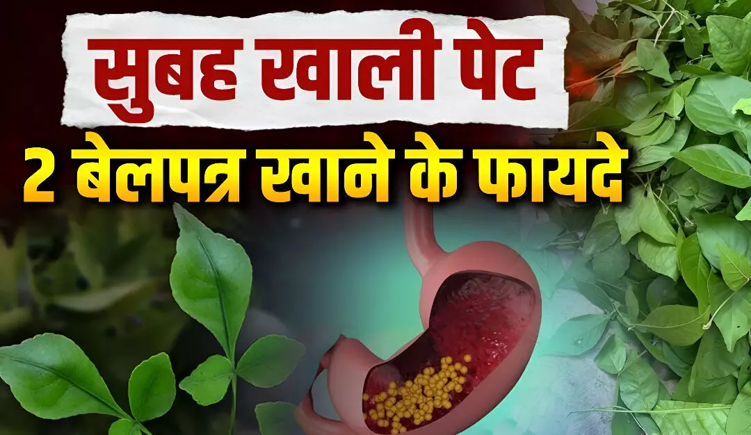 Bel patra ke fayde: सुबह खाली पेट बेलपत्र खाने के फायदे: पेट, दिल और डायबिटीज में फायदेमंद | Health Explainer Hindi