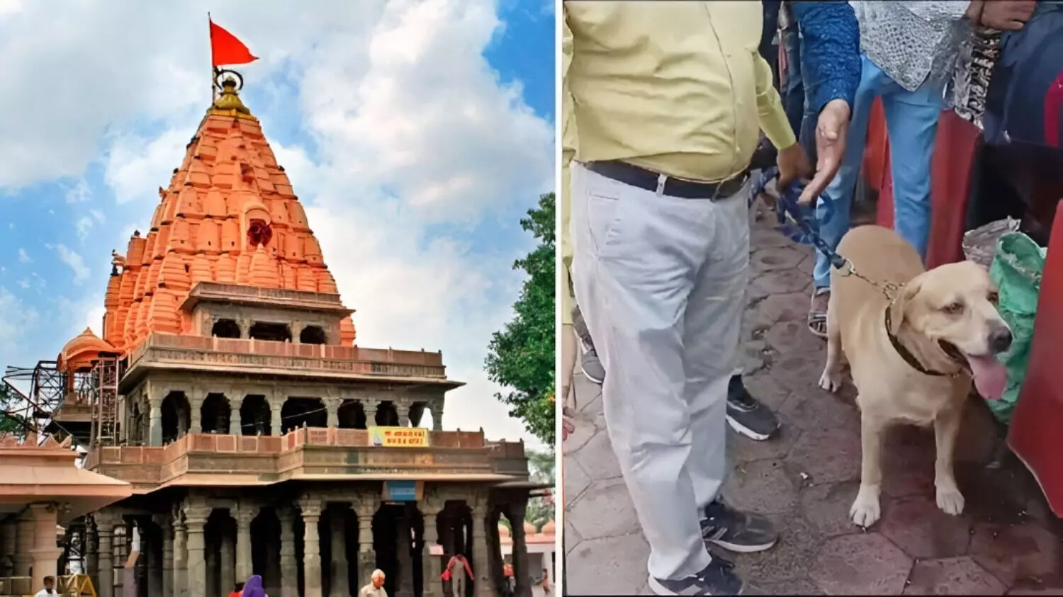 बड़ी खबर: दिल्ली धमाके के बाद उज्जैन में ब्लास्ट का खौफ: महाकाल मंदिर की बढ़ाई गई सुरक्षा व्यवस्था, जांच में जुटी MP पुलिस