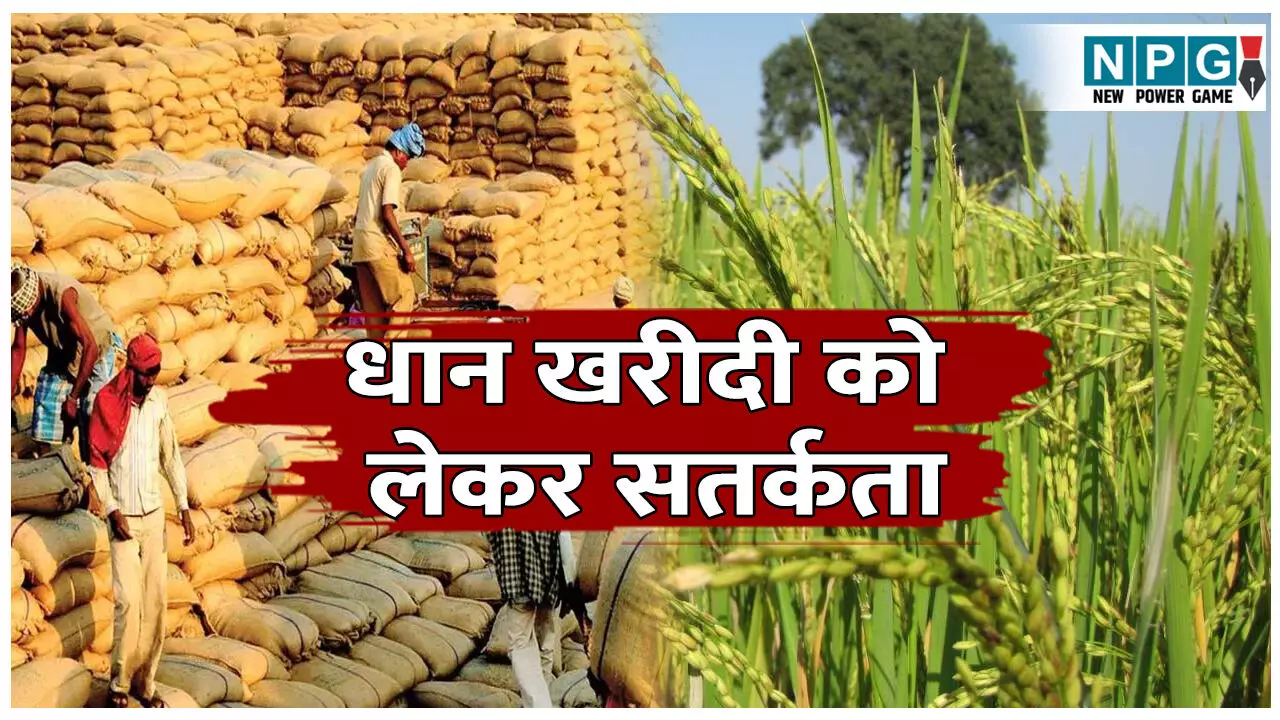 CG Dhan Kharidi News: 15 नवंबर से शुरू होगी समर्थन मूल्य पर धान खरीदी, कोचियों पर सतर्क मोबाइल एप से निगरानी, मार्कफेड की तैयारियां जोरो पर