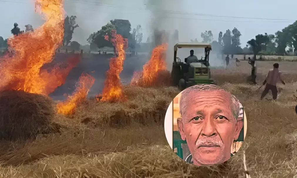 (A Farmer Burdened set his own Paddy Crop on Fire) Farmer news: बेटी की शादी और कर्ज का बोझ… धान न बिकने से टूटा किसान, सरकारी  केंद्र के बाहर फसल में लगा दी आग, पढ़ें पूरा मामला! | Farmer news:  Daughter's wedding