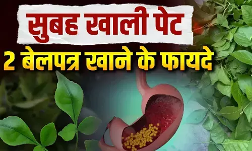 Bel patra ke fayde: सुबह खाली पेट बेलपत्र खाने के फायदे: पेट, दिल और डायबिटीज में फायदेमंद | Health Explainer Hindi