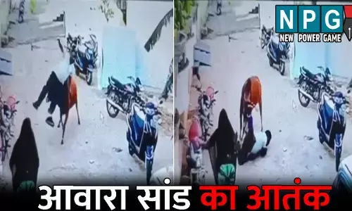 Baloda Bazar News: आवारा सांड का आतंक: राहगीर को उठाकर पटका, दोनों हाथ हुए फ्रैक्चर, दिल दहला देने वाला VIDEO आया सामने