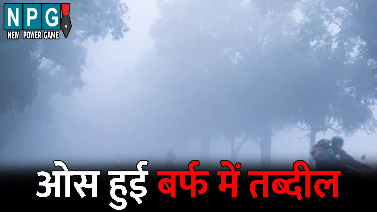 CG Me Aaj Ka Mausam: अगले पांच दिन चलेगी शीत लहर: इस जिले में ओस हुई बर्फ में तब्दील, जानिए अपने जिले के मौसम का हाल