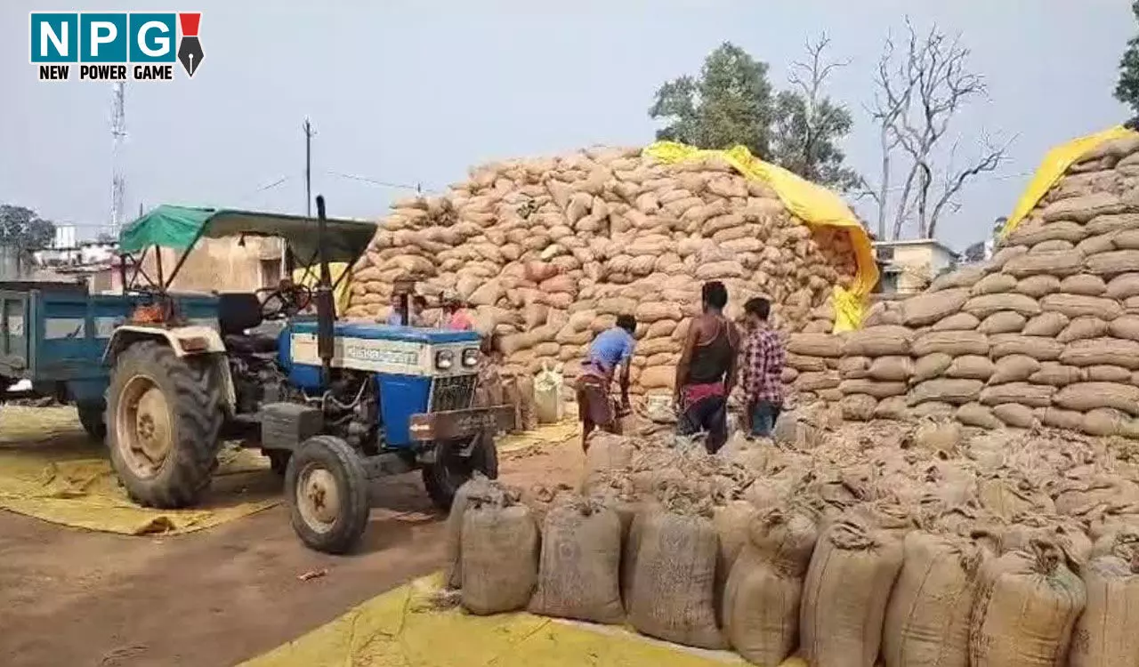 Jashpur Paddy News: जशपुर जिले के सभी 46 धान खरीदी केंद्रों में आवश्यक संसाधनों की उपलब्धता, खरीदी केंद्र में दी जा रही है सभी सुविधाएं