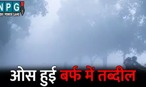 CG Me Aaj Ka Mausam: अगले पांच दिन चलेगी शीत लहर: इस जिले में ओस हुई बर्फ में तब्दील, जानिए अपने जिले के मौसम का हाल