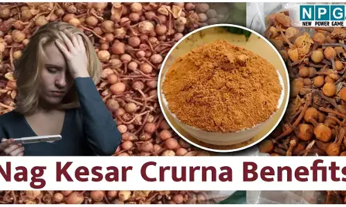 Nag Kesar Crurna Benefits: बार-बार हो रहा है मिसकैरेज? मदद कर सकता है नागकेसर चूर्ण, जाने फायदे...